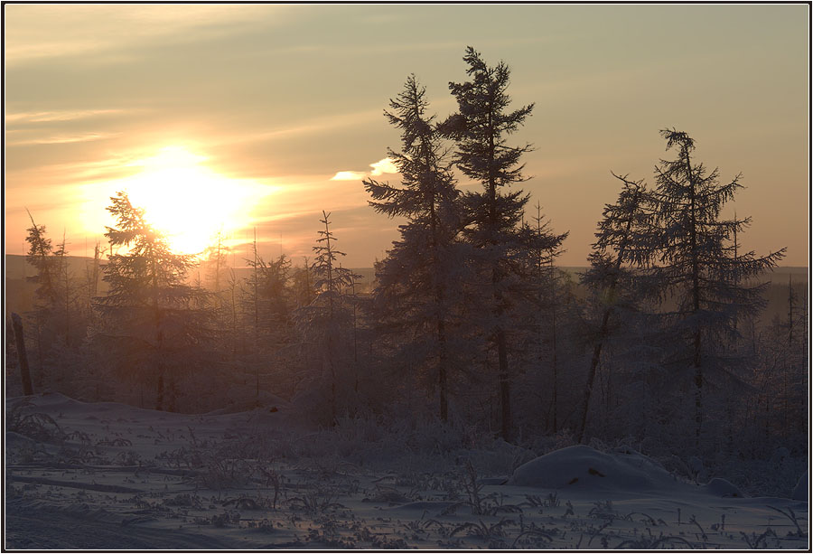 photo "***" tags: landscape, forest, winter