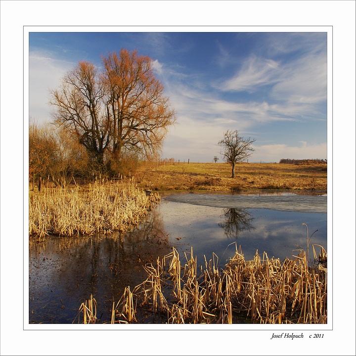 photo "early spring" tags: landscape, spring