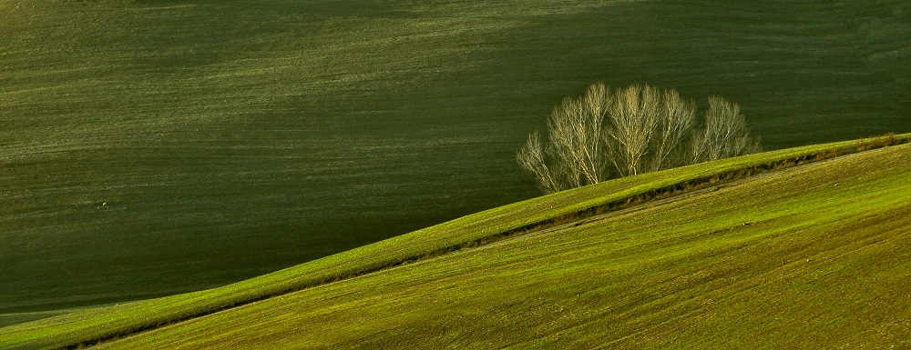 фото "Winter in Tuscany" метки: пейзаж, путешествия, Европа