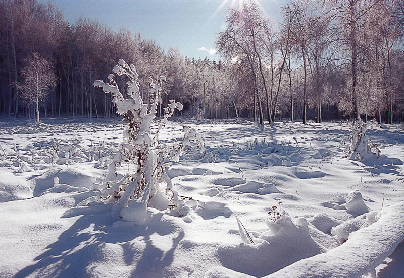 фото "Мороз и солнце" метки: пейзаж, 