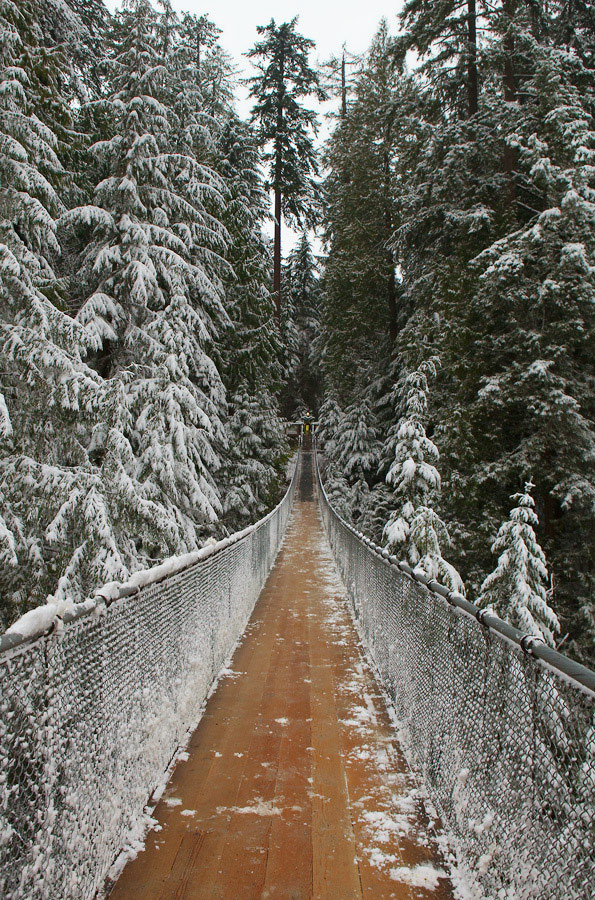 photo "***" tags: landscape, winter