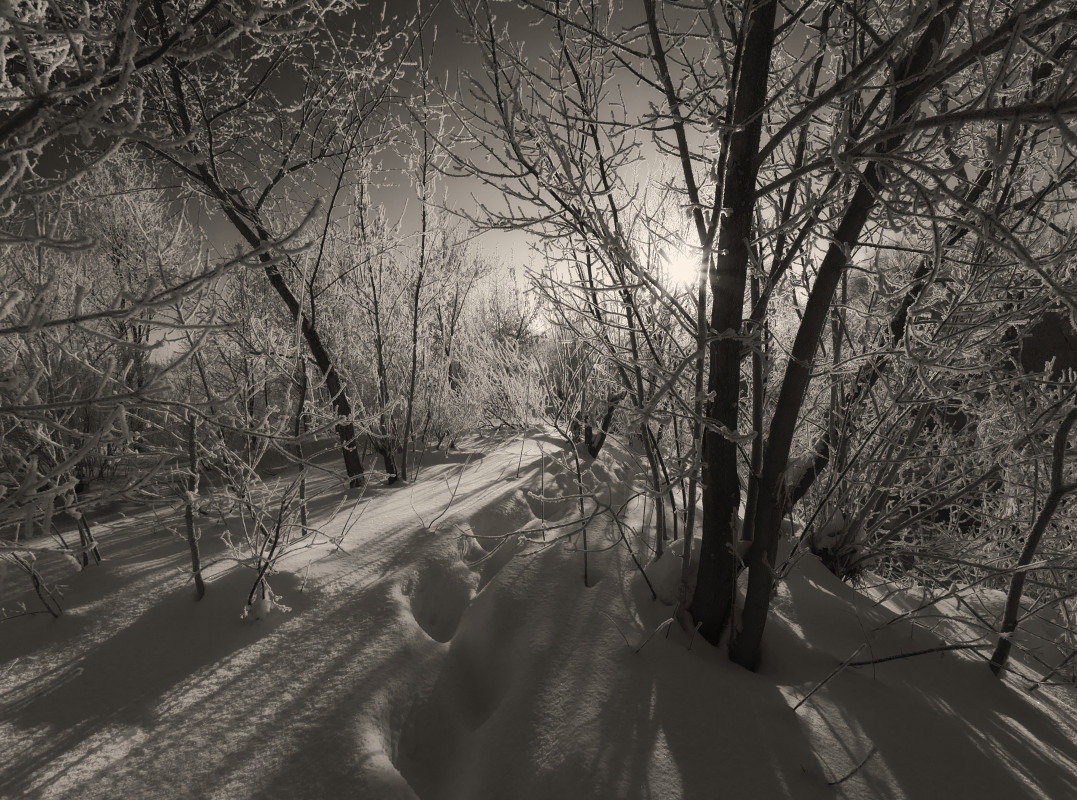 photo "***" tags: landscape, black&white, winter