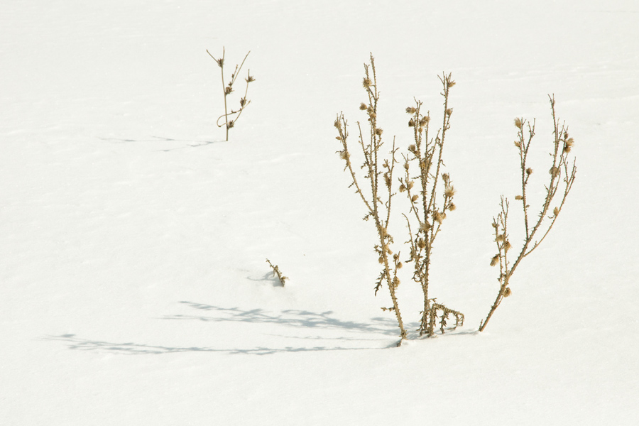 photo "***" tags: landscape, winter
