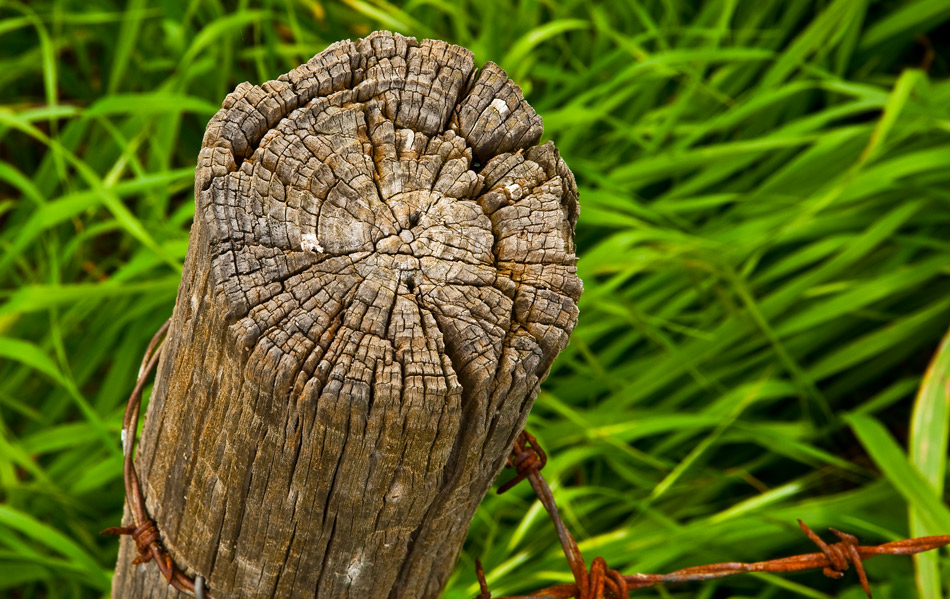 photo "POLE BARRIER" tags: macro and close-up, abstract, 