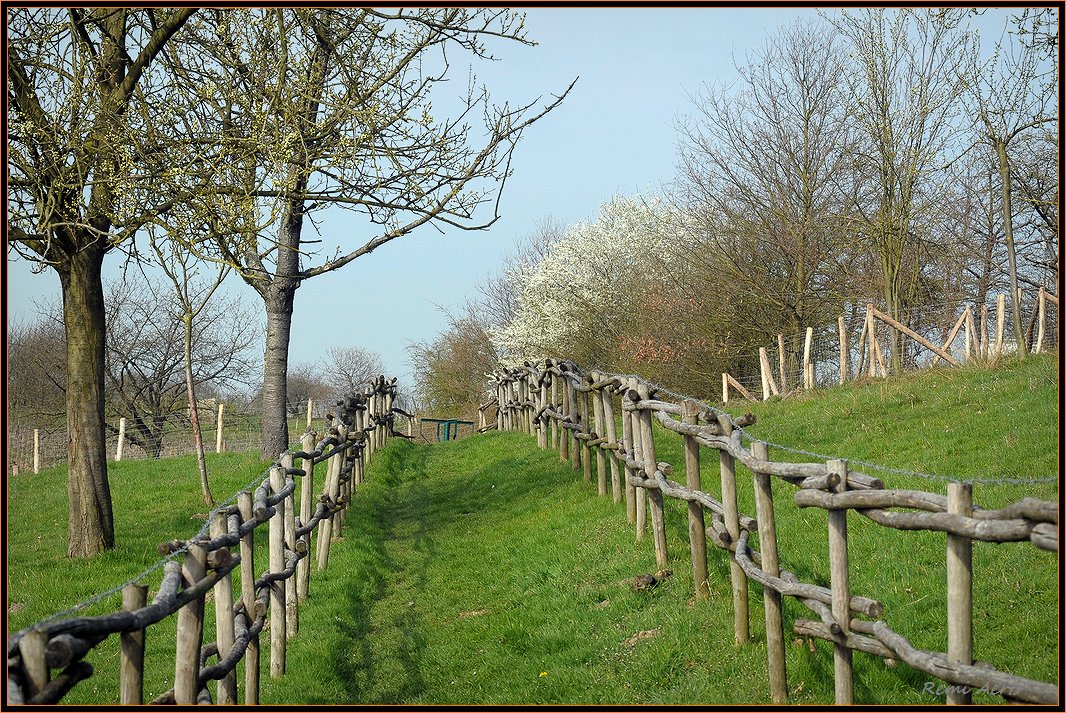 photo "***" tags: landscape, nature, spring