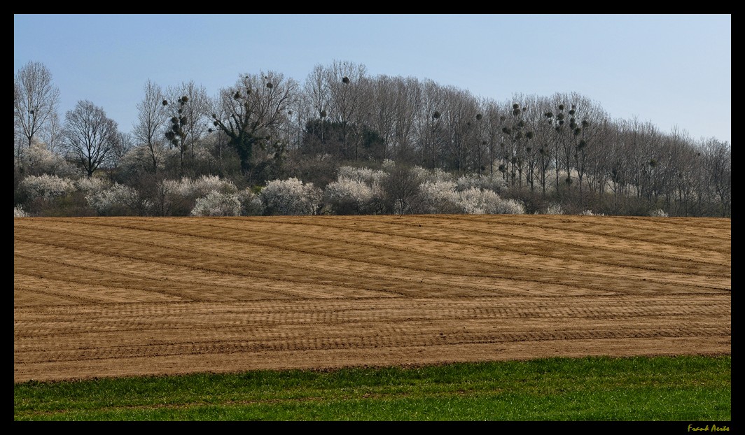 photo "***" tags: landscape, spring