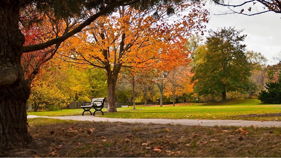 photo "***" tags: landscape, autumn