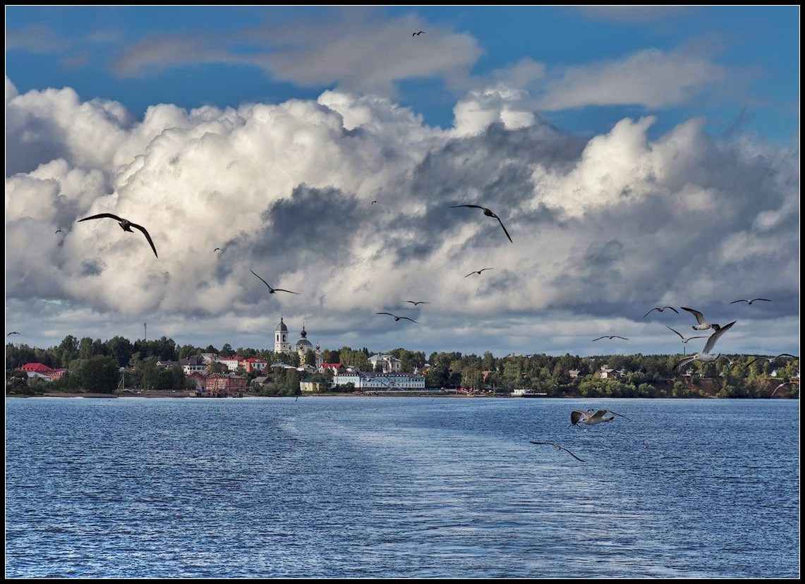 photo "Escort" tags: landscape, summer, water