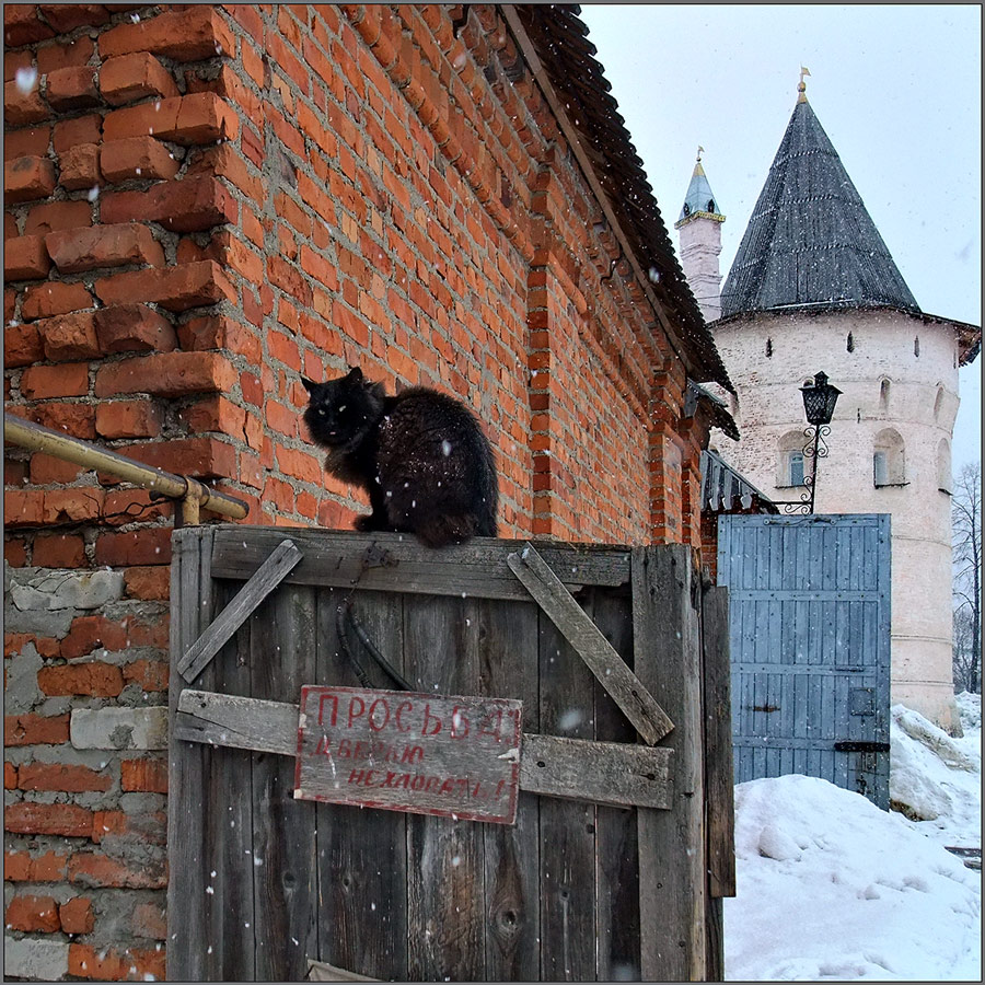 photo ""Please do not slam the door!"" tags: nature, humor, pets/farm animals