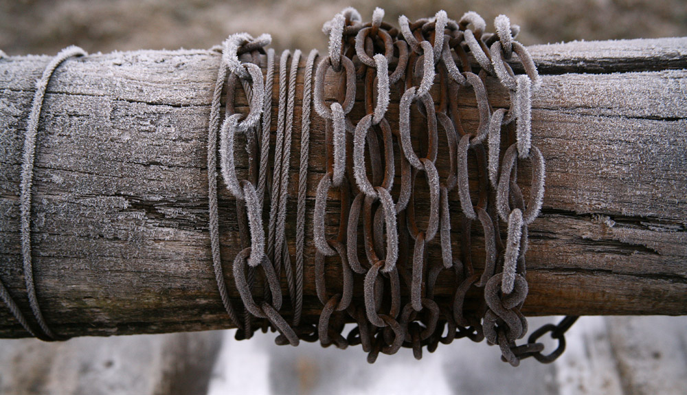 photo "***" tags: genre, misc., 