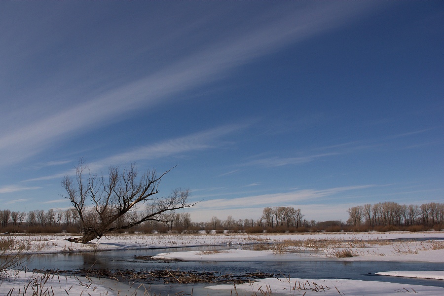 photo "To fly" tags: landscape, nature, spring