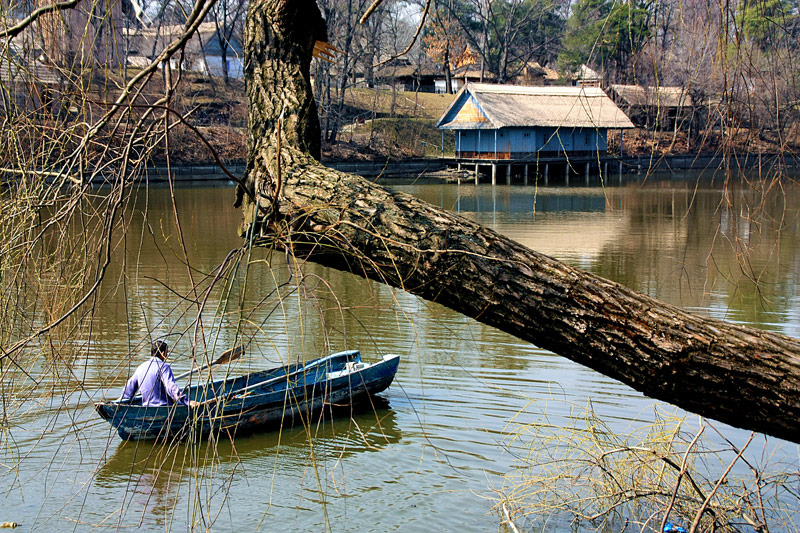 photo "Around the house" tags: landscape, lake, park, spring