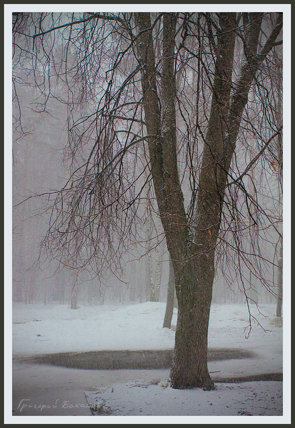 photo "***" tags: , 