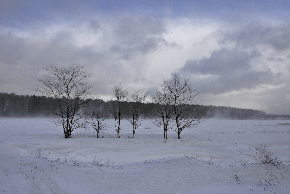 photo "***" tags: landscape, spring, winter