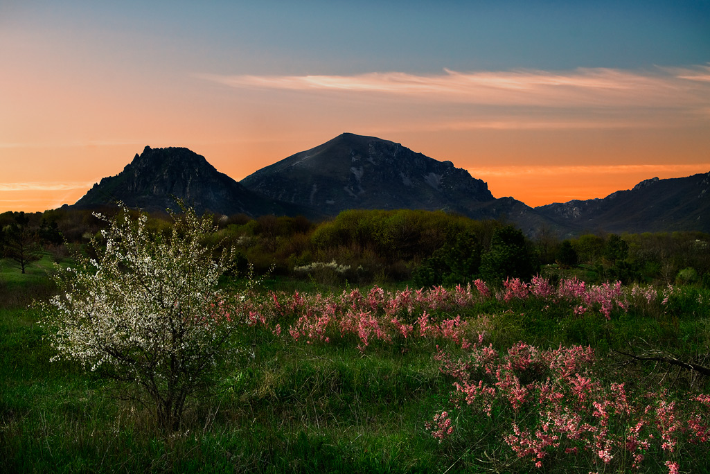 photo "Washed by rain dawn" tags: landscape, 