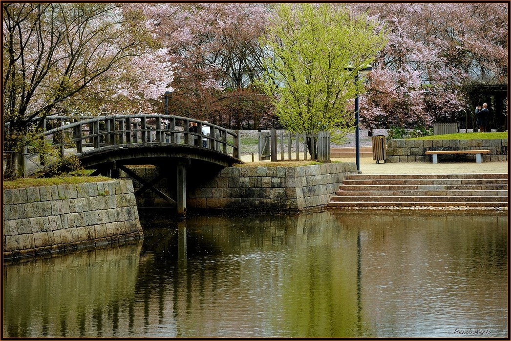 photo "japenese garden" tags: architecture, landscape, water
