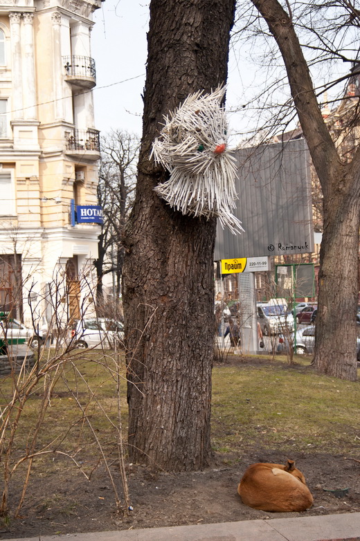 фото "в осаде" метки: жанр, 