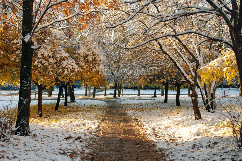 photo "***" tags: landscape, autumn