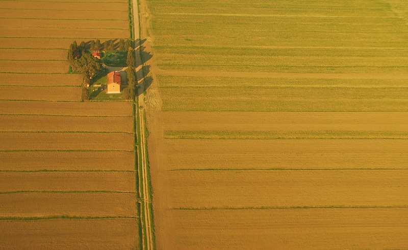 photo "***" tags: landscape, spring