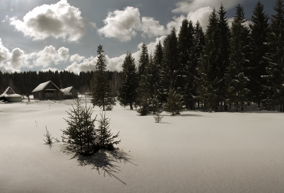 photo "Mrs" tags: landscape, winter