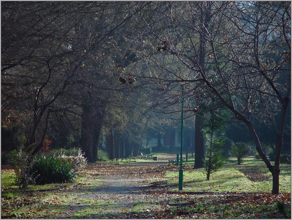 photo "***" tags: landscape, autumn