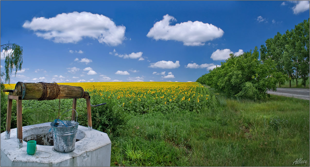 photo "***" tags: landscape, nature, flowers, summer