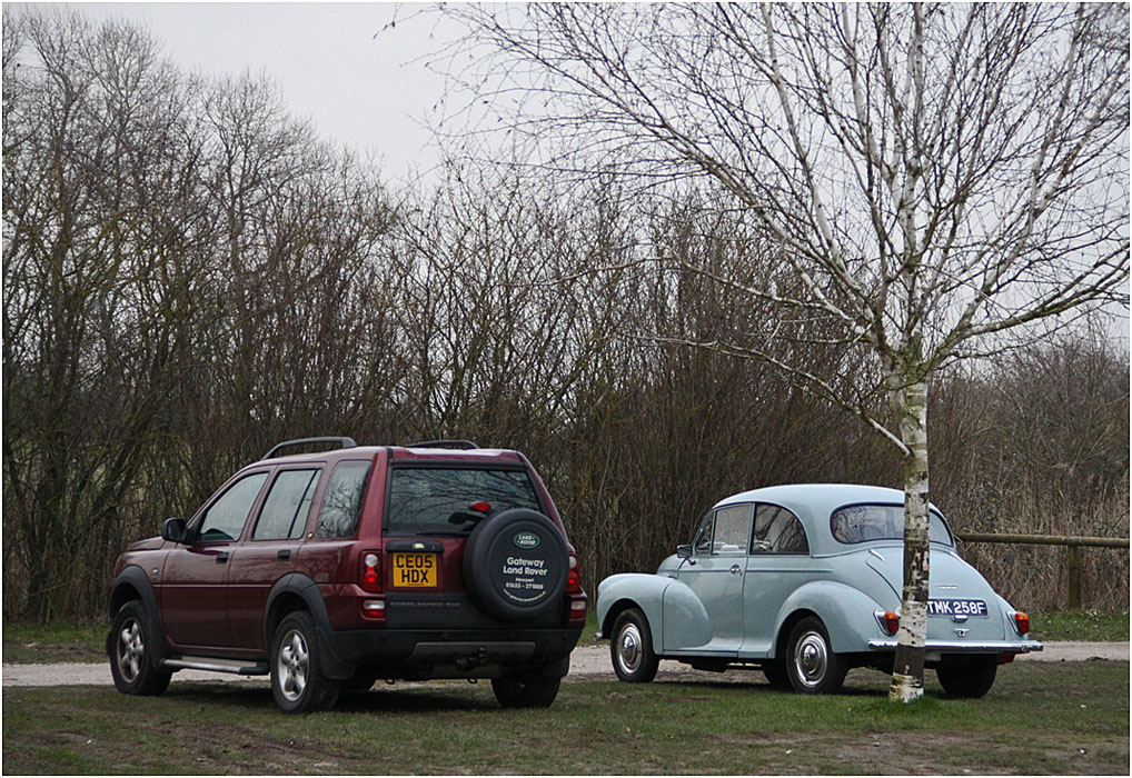 photo "And old as young" tags: technics, tree