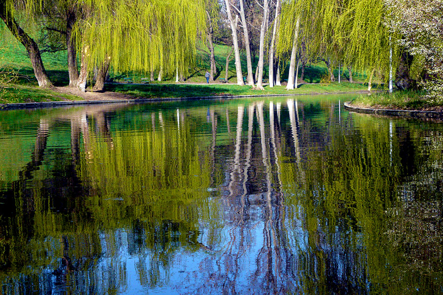 photo "Spring reflexes" tags: landscape, lake, park, reflections, spring, tree
