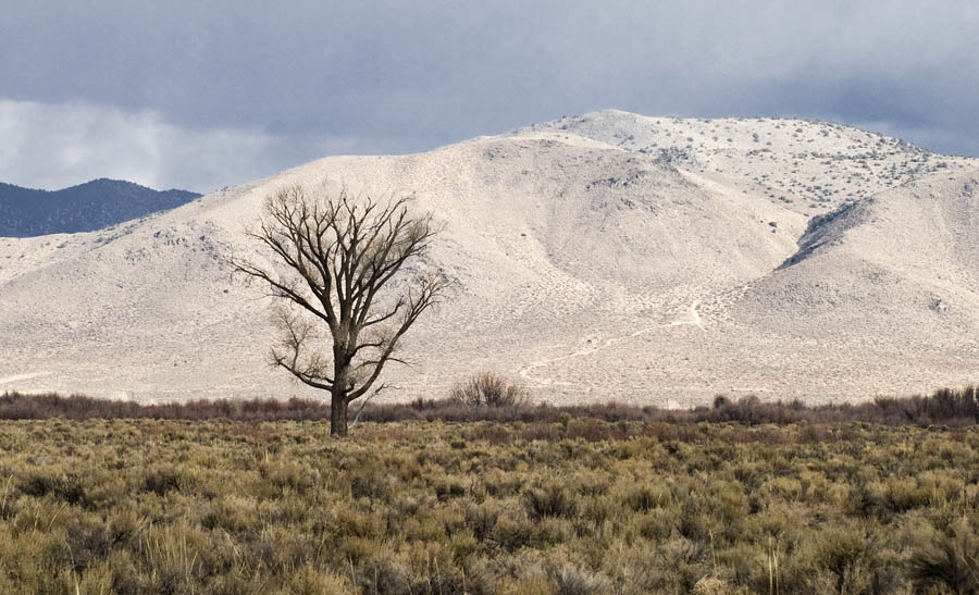 photo "Выскогорная пустыня в Неваде" tags: landscape, mountains, summer