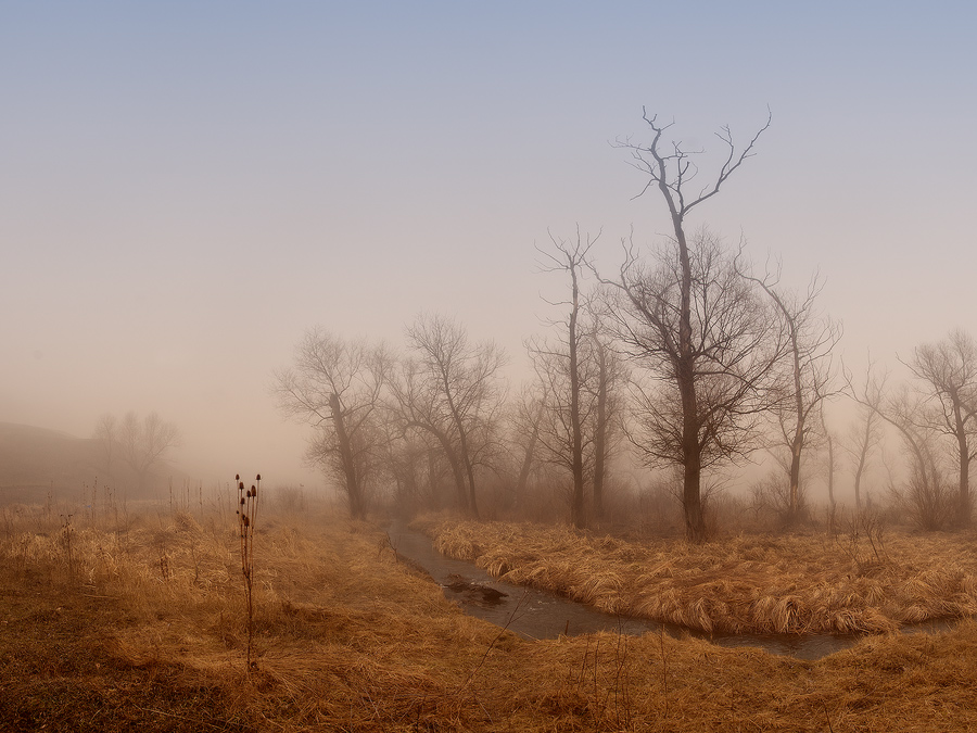 photo "***" tags: landscape, spring