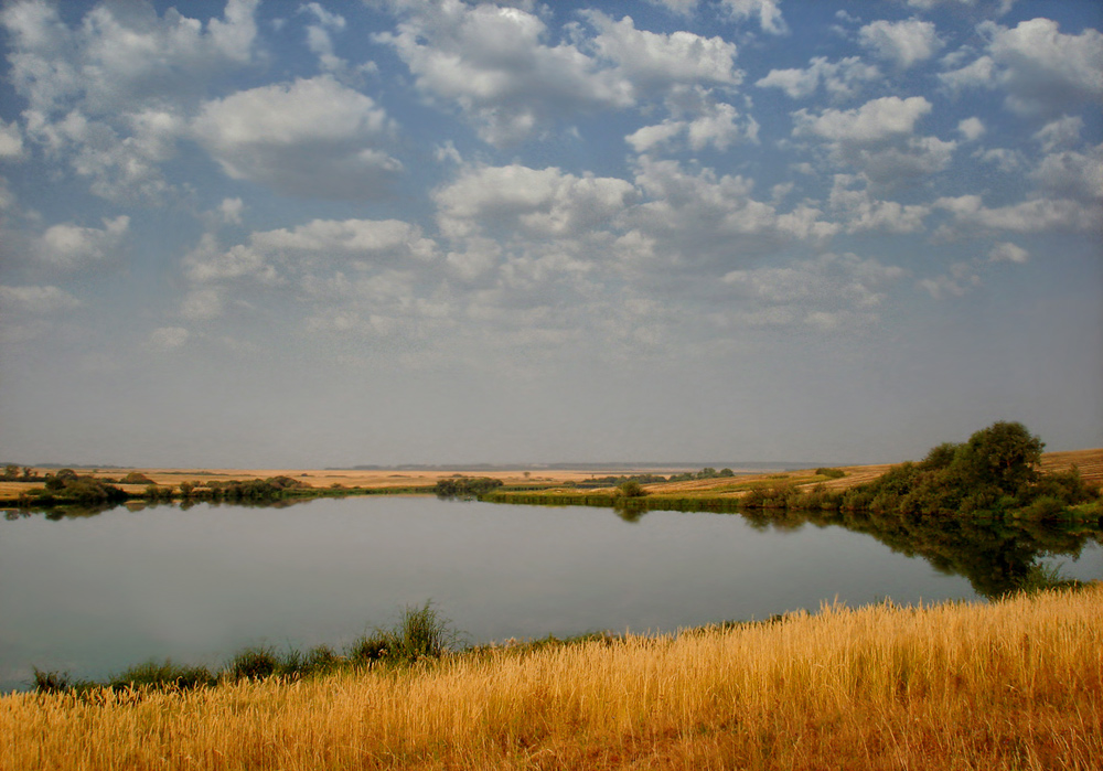 фото "..жара.." метки: пейзаж, лето