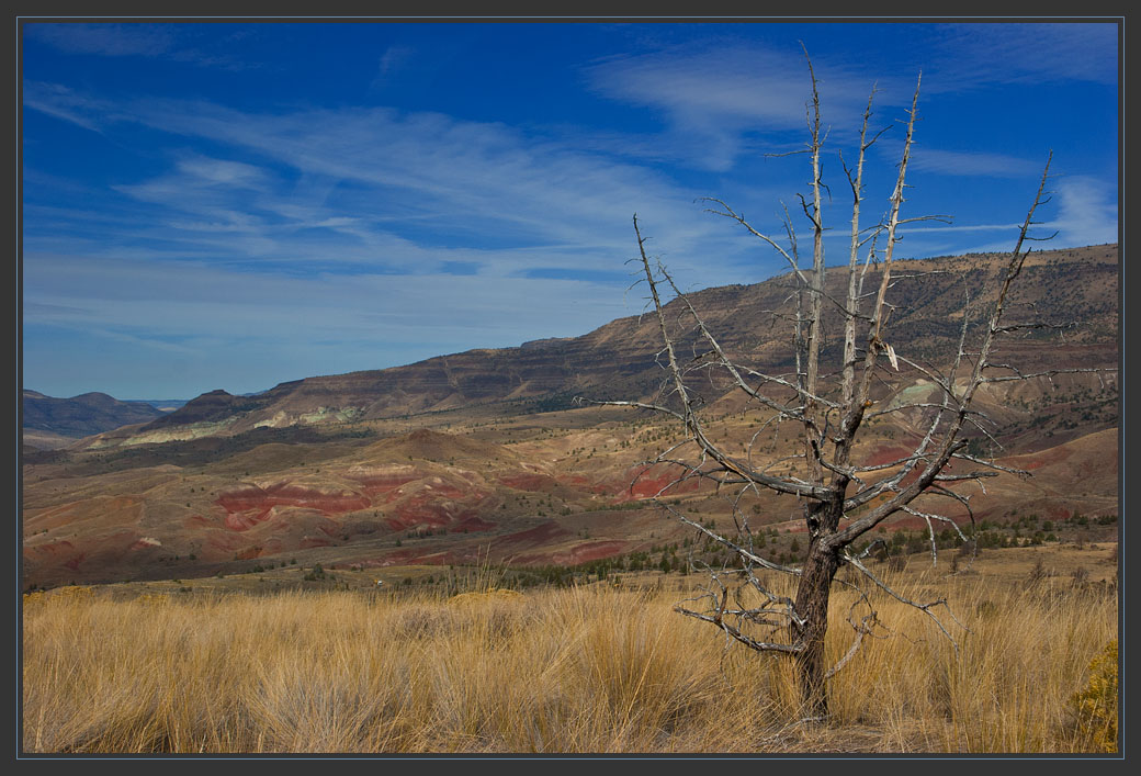 photo "Colors of solitude" tags: landscape, travel, 