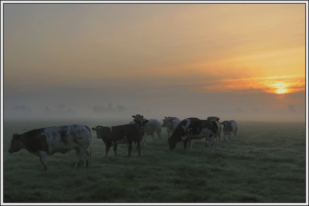 photo "***" tags: landscape, 