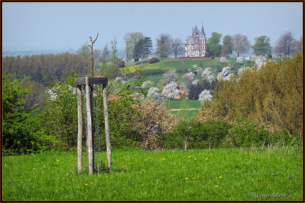 фото "not my fairy tale castle" метки: пейзаж, природа, весна, цветы