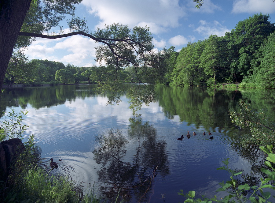 photo "***" tags: landscape, water