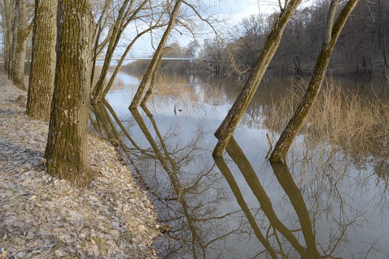 фото "Разлив" метки: пейзаж, весна, вода