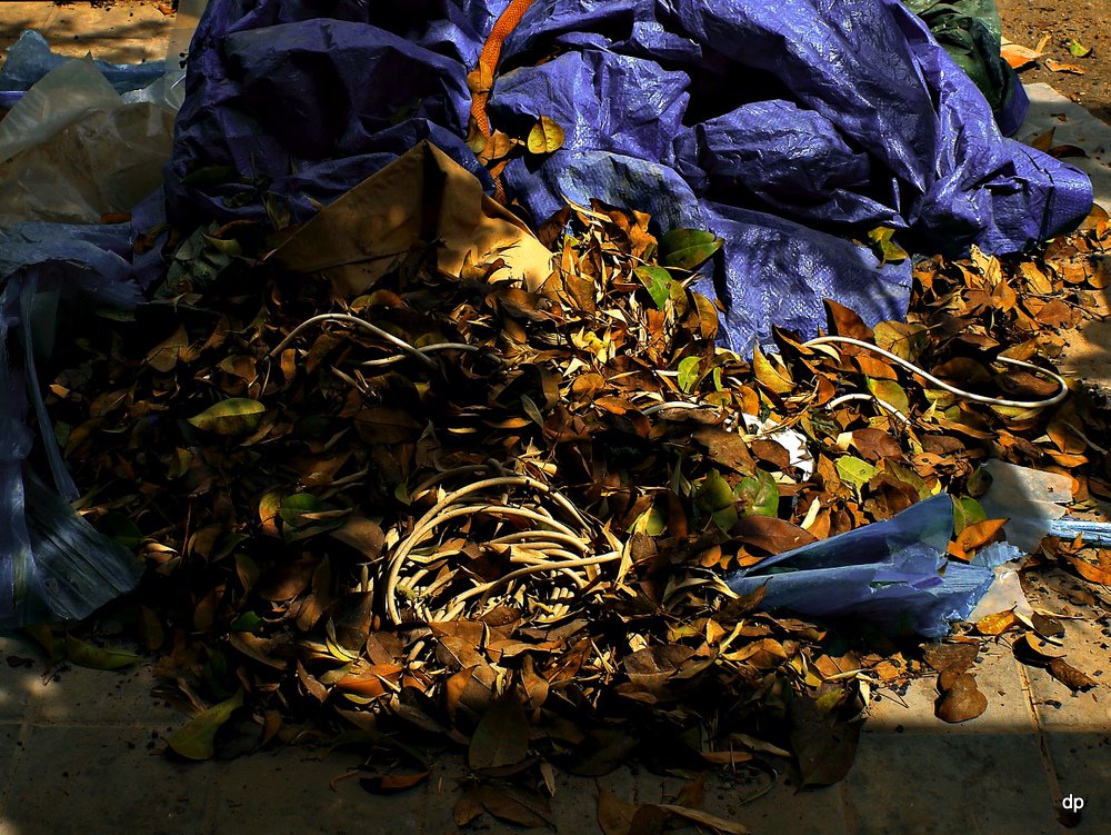 photo "Crisis!!" tags: abstract, 