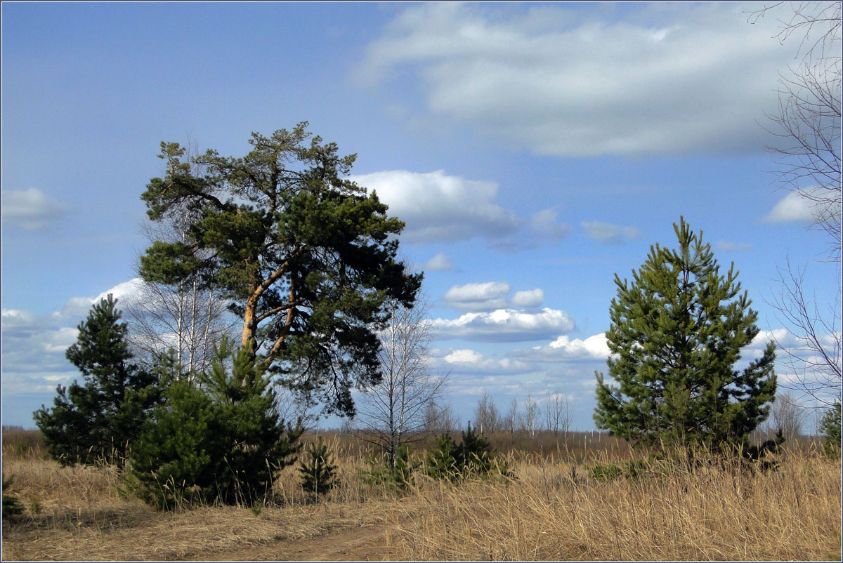 photo "***" tags: landscape, spring