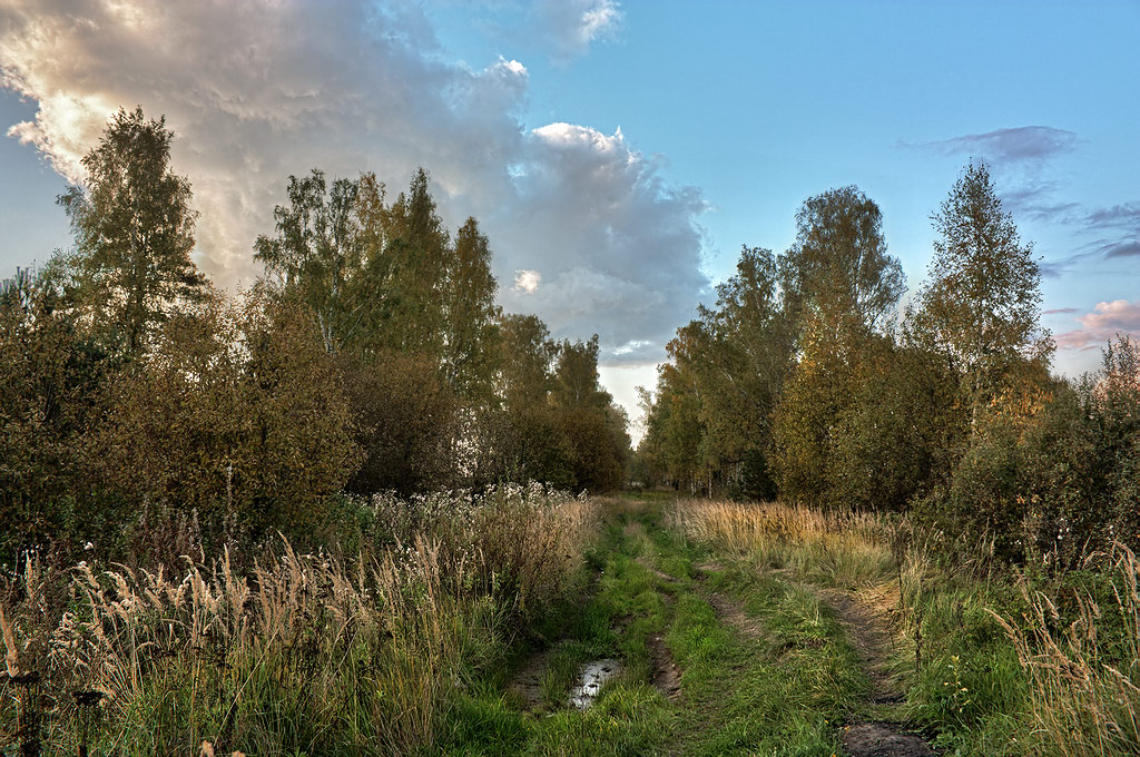 photo "***" tags: landscape, summer