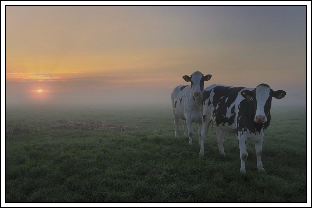photo "***" tags: landscape, sunset