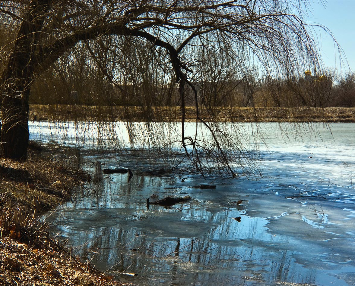 photo "***" tags: landscape, spring