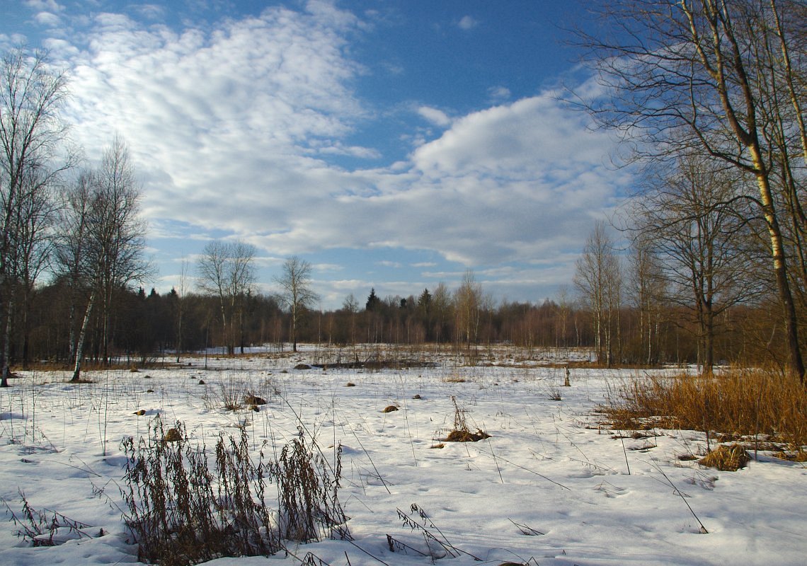 photo "Sky of April" tags: landscape, spring