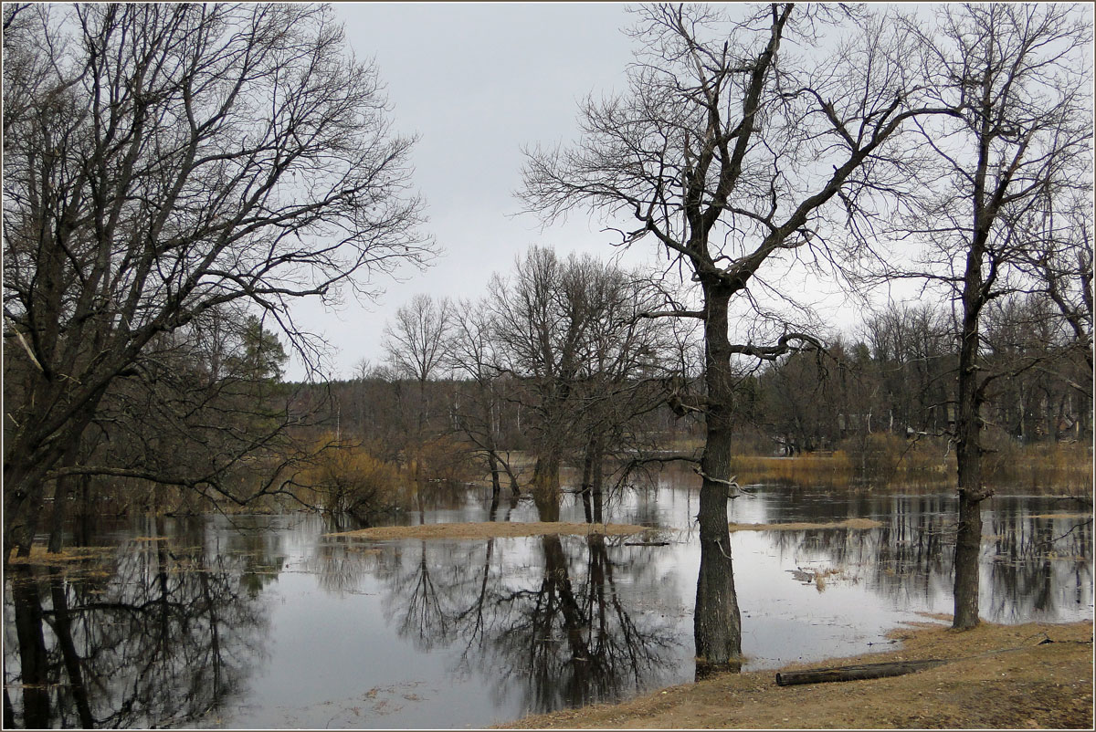 photo "***" tags: landscape, spring, water