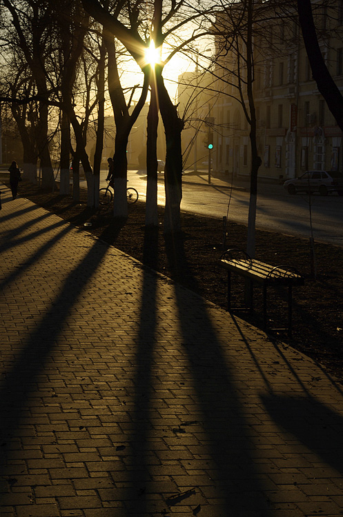 фото "Аллея" метки: город, 