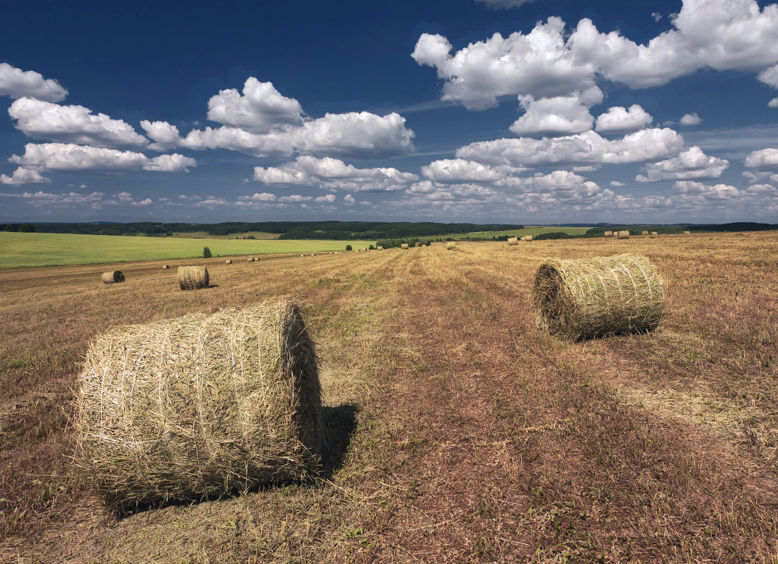 photo "***" tags: landscape, summer