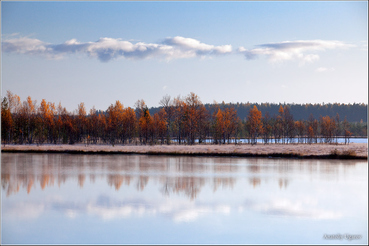 фото "Прозрачность" метки: пейзаж, вода, осень