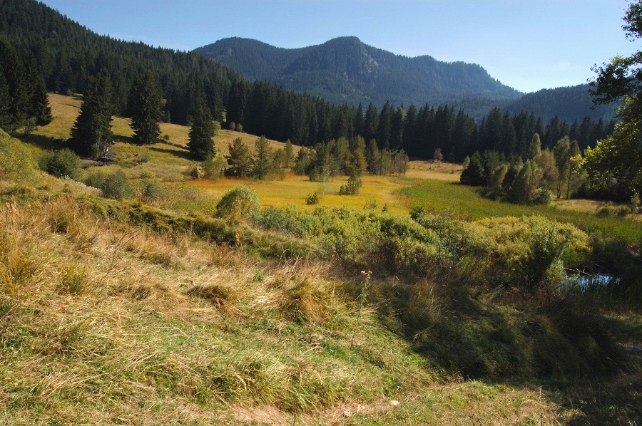 photo "Magic autumn - The Rhodope mauntain" tags: landscape, mountains