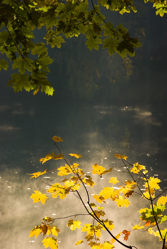 photo "***" tags: landscape, fragment, autumn