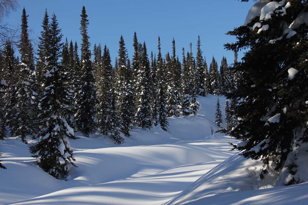 photo "***" tags: landscape, mountains, winter