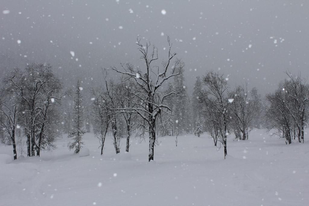 photo "***" tags: landscape, mountains, winter